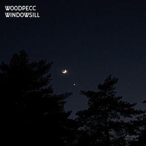 Portada de Sencillo/EP "windowsill", de woodpecc