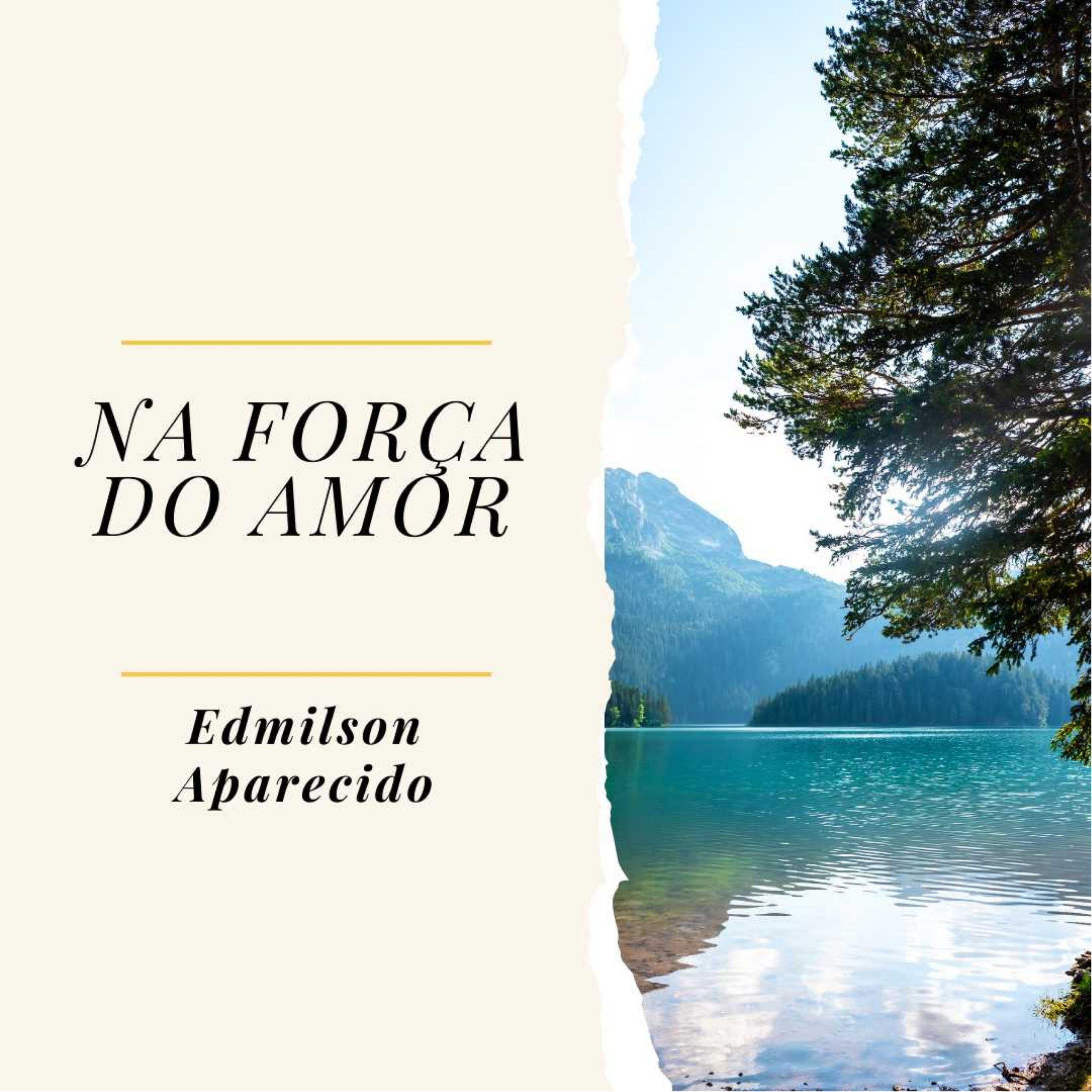 Portada de Álbum "Na Força do Amor", de Edmilson Aparecido