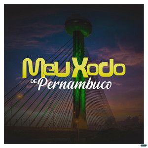 Portada de Álbum "O Xodó do Brasil (Vol. 1)", de Meu Xodó De Pernambuco