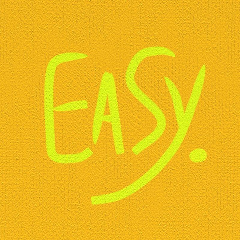 Capa do álbum "Easy", de Rie Fu