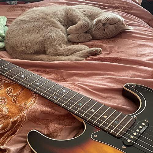 Portada de Sencillo/EP "little bit", de woodpecc