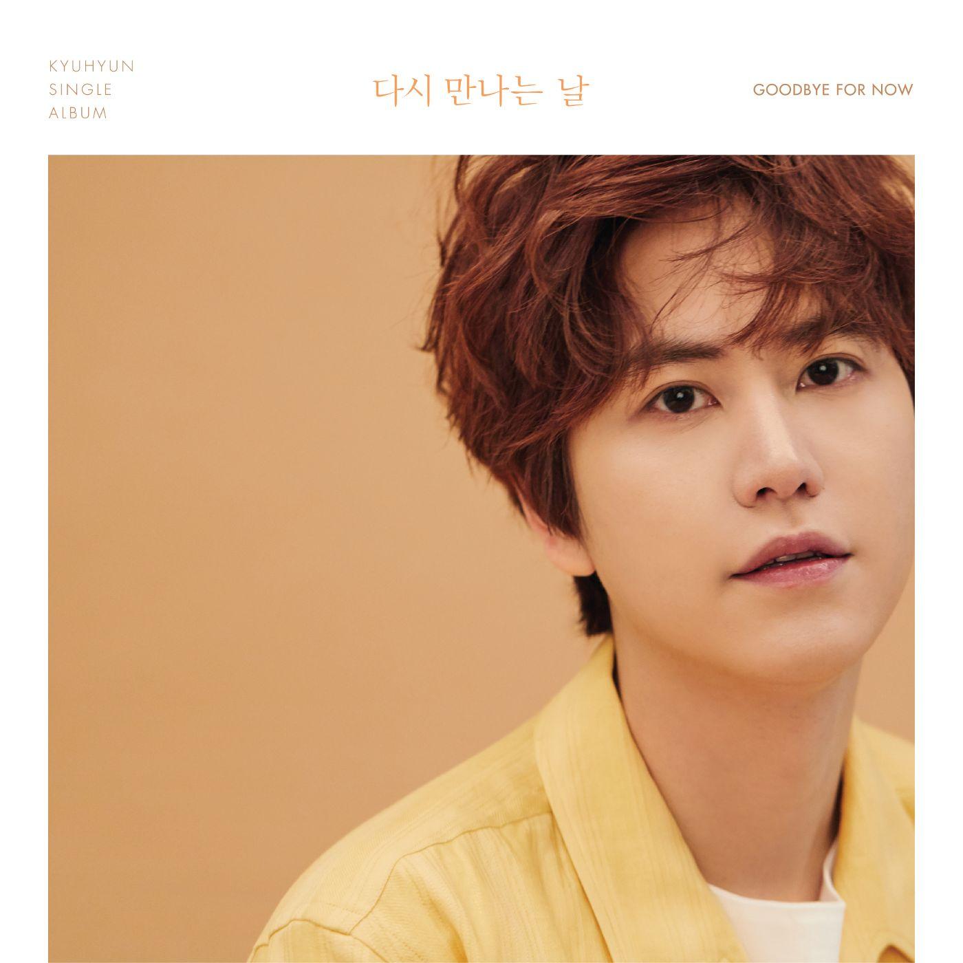 Portada de Sencillo/EP "Goodbye For Now - Single", de KYUHYUN