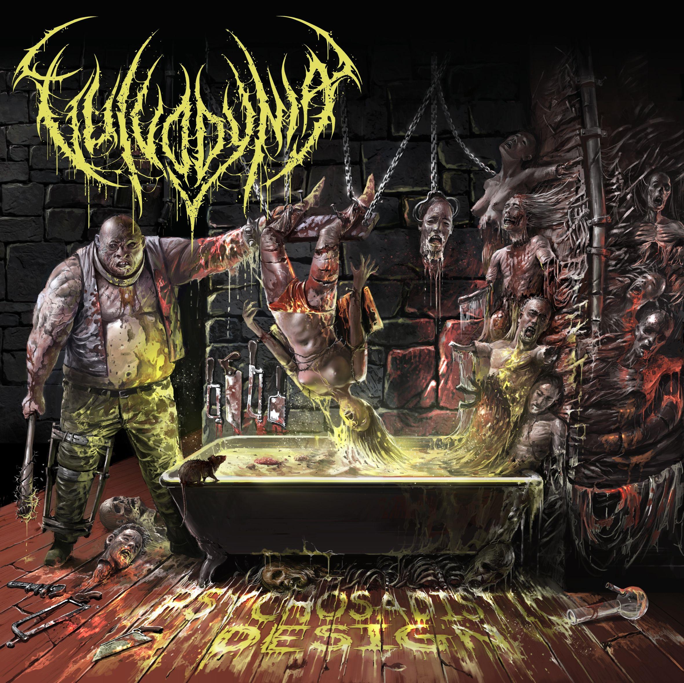 Portada de Álbum "Psychosadistic Design", de Vulvodynia
