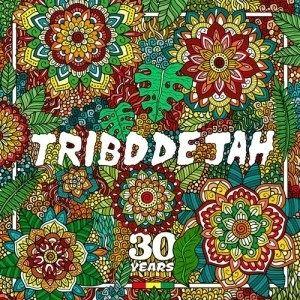 Portada de Álbum "Come to the Vibe", de Tribo de Jah