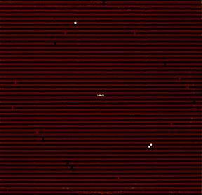 Portada del álbum "Swans", de Swans