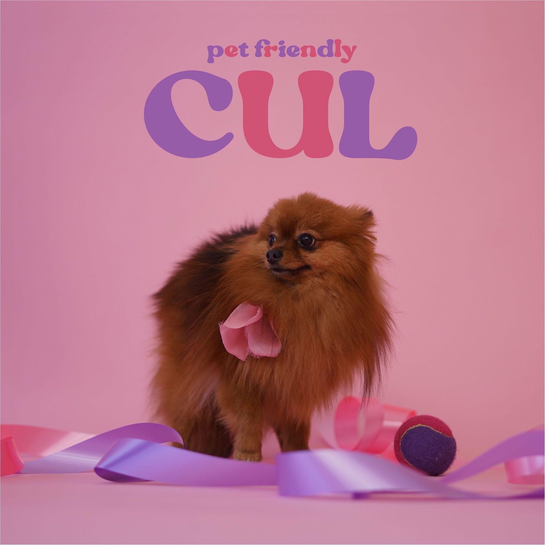 Portada de Sencillo/EP "Cul", de Pet Friendly