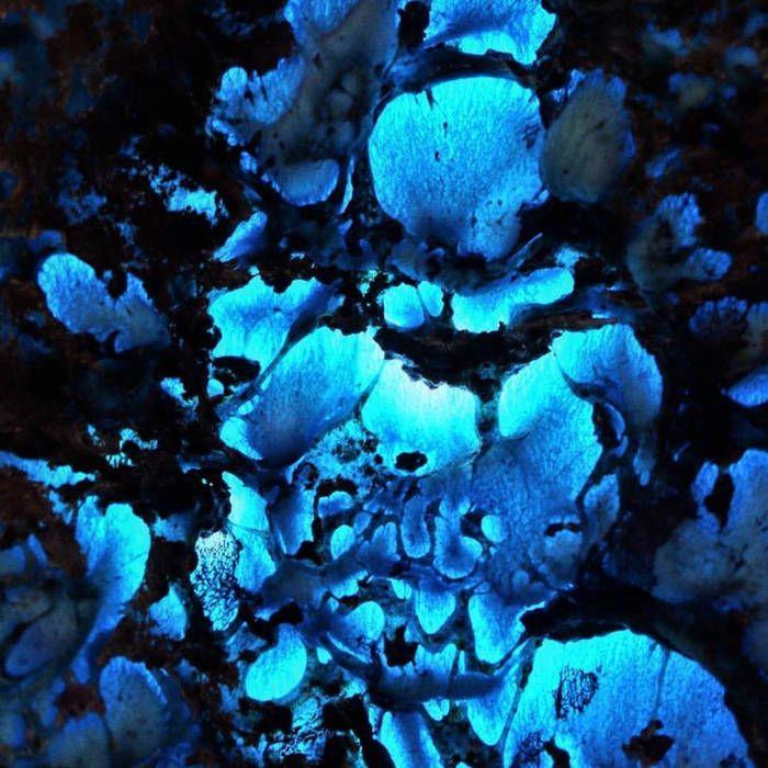 Portada de Álbum "Blue Basin", de Rare Seed