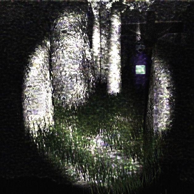 Portada del álbum "slendytubbies", de fresh0hz