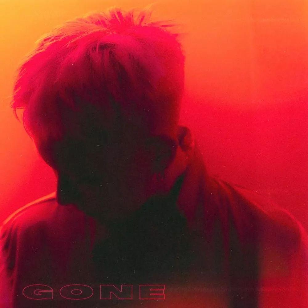 Capa do Sencillo/EP "Gone (feat. 로꼬 (Loco))", de Vapo (Heo Won Hyuk)