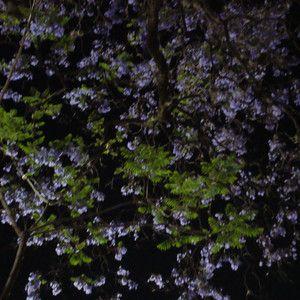 Portada de Sencillo/EP "me olvidarás (como lo haces ya)", de incluso si nunca despiertas