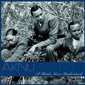 Portada de Álbum "A Kind Never Understood", de AKNU