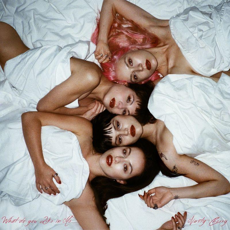 Capa do Single/EP "What do You Like In Me", de Nasty Cherry