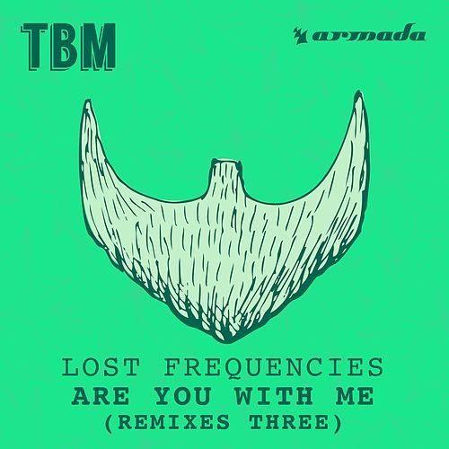 Portada de Álbum "Are You With Me (Remixes Two)", de Lost Frequencies