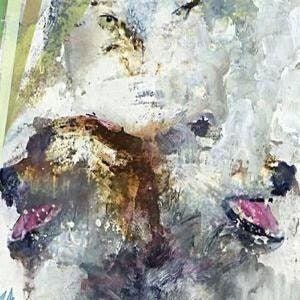 Portada de Álbum "Tail Swallower And Dove", de These Arms Are Snakes