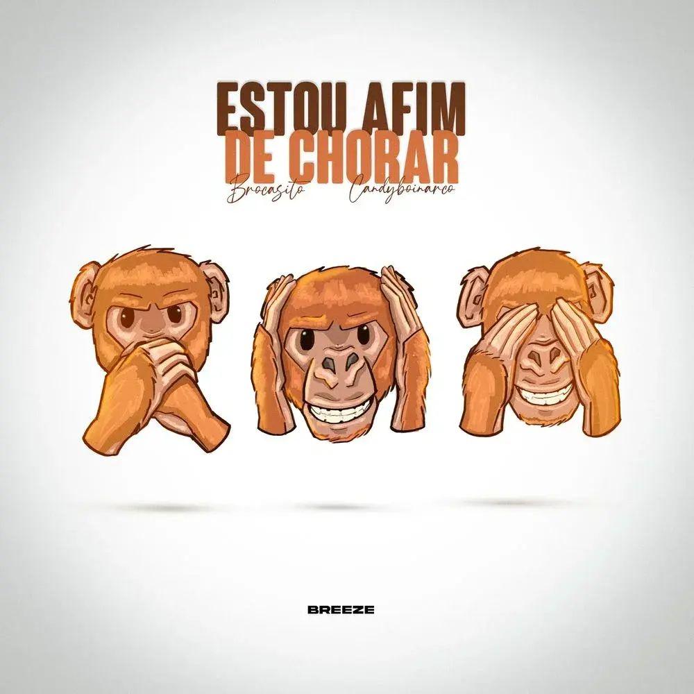 Capa do álbum "Estou Afim de Chorar", de Brocasito