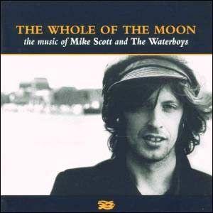 Capa do Álbum "Whole of the Moon: Best of", de The Waterboys
