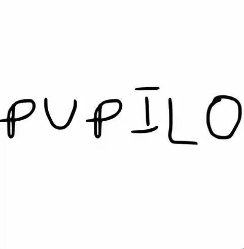 Capa do álbum "Pupilo", de Ferbinho
