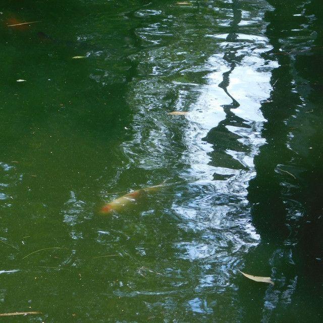 Portada de Sencillo/EP "te quiero naranjita", de incluso si nunca despiertas