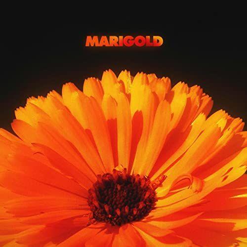 Portada de Álbum "Marigold", de Alex Isley