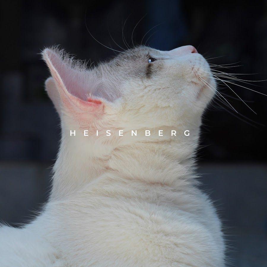 Portada de Álbum "Heisenberg", de Overdaves