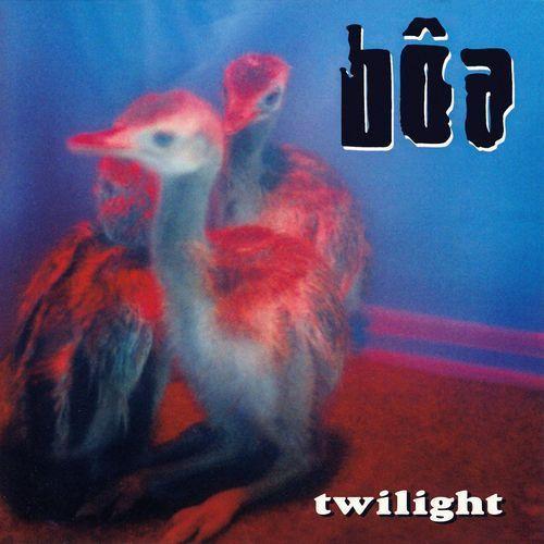 Capa do Álbum "Twilight", de bôa