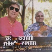 Portada de Álbum "Pedaço Da Minha Terra", de Zé do Cedro e Tião do Pinho