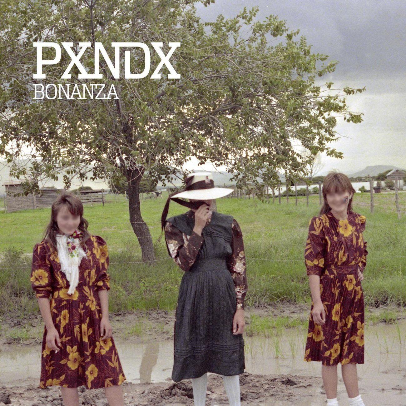 Portada de Álbum "Bonanza", de PXNDX