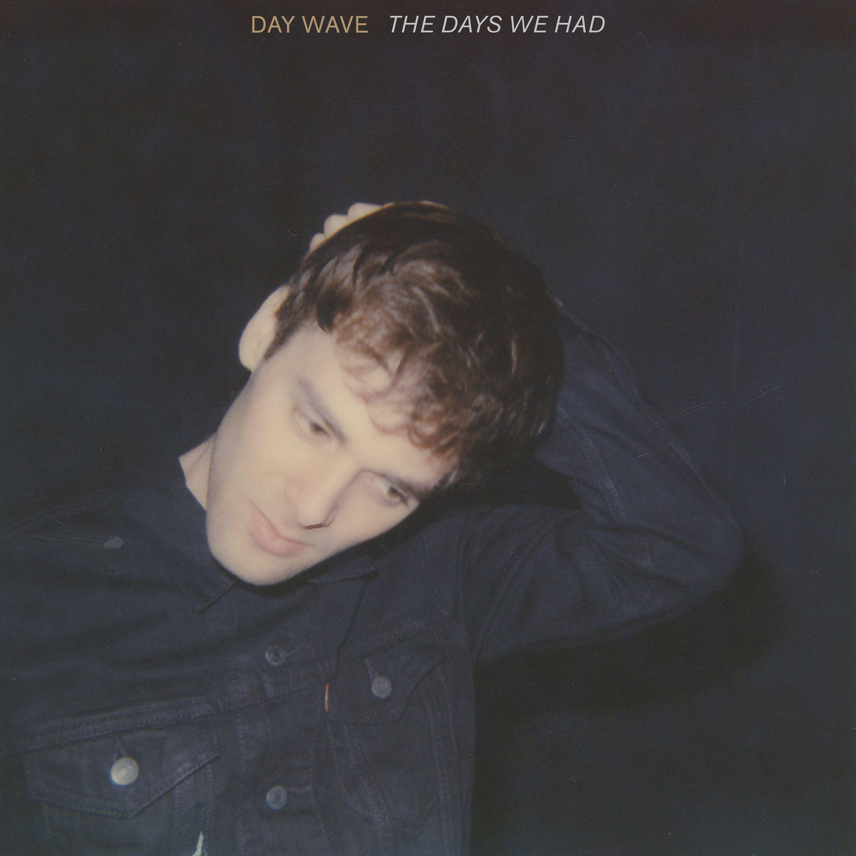 Capa do Álbum "The Days We Had", de Day wave