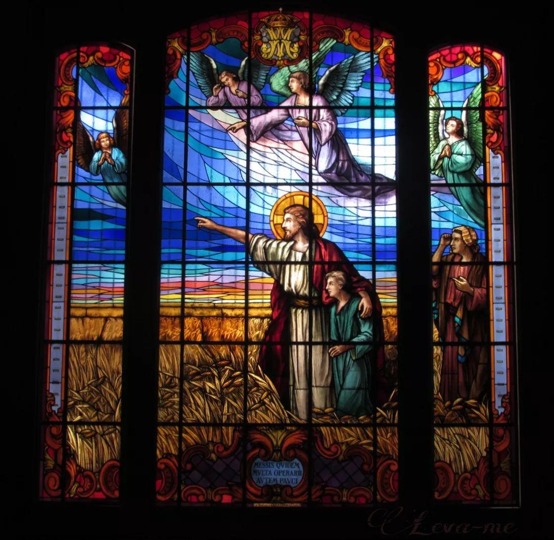 Portada de Álbum "Leva-me", de Seminário Nossa Senhora do Amor Divino