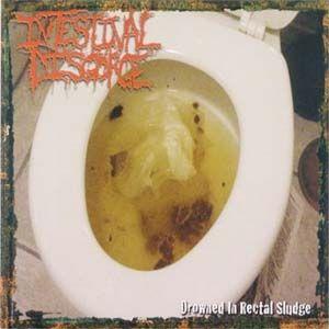 Portada de Álbum "Drowned In Rectal Sludge", de Disgorge