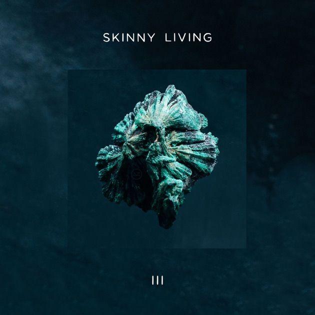 Portada de Sencillo/EP "3", de Skinny Living