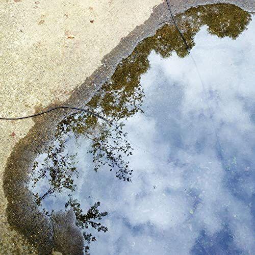 Single/EP cover of "The World" by 9mm Parabellum Bullet