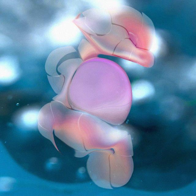 Capa do Single/EP "Best Regards", de Youra