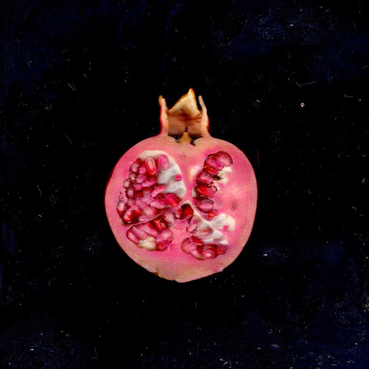 Portada de Álbum "Romã", de Sofia Freire