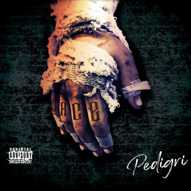 Capa do Álbum "Pedigrí", de Arce