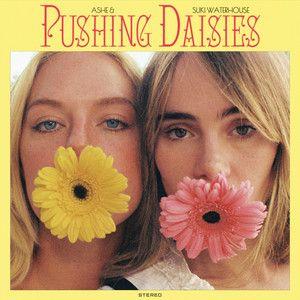 Capa do álbum "Pushing Daisies", de Ashe