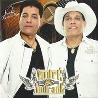 Portada de Álbum "Viola Romântica", de André & Andrade