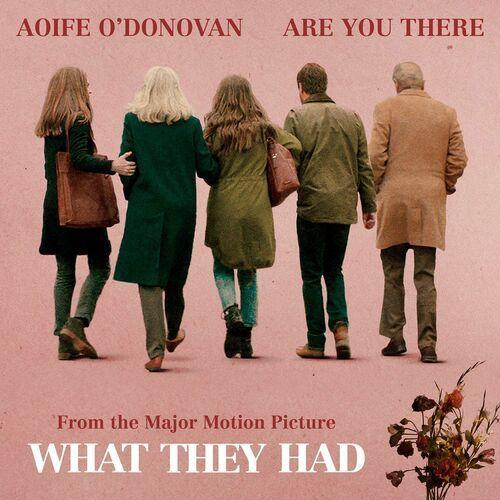 Single/EP cover of "Are You There" by Aoife O'Donovan