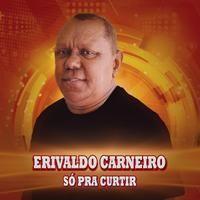 Portada de Álbum "Só Pra Curtir", de Erivaldo Carneiro