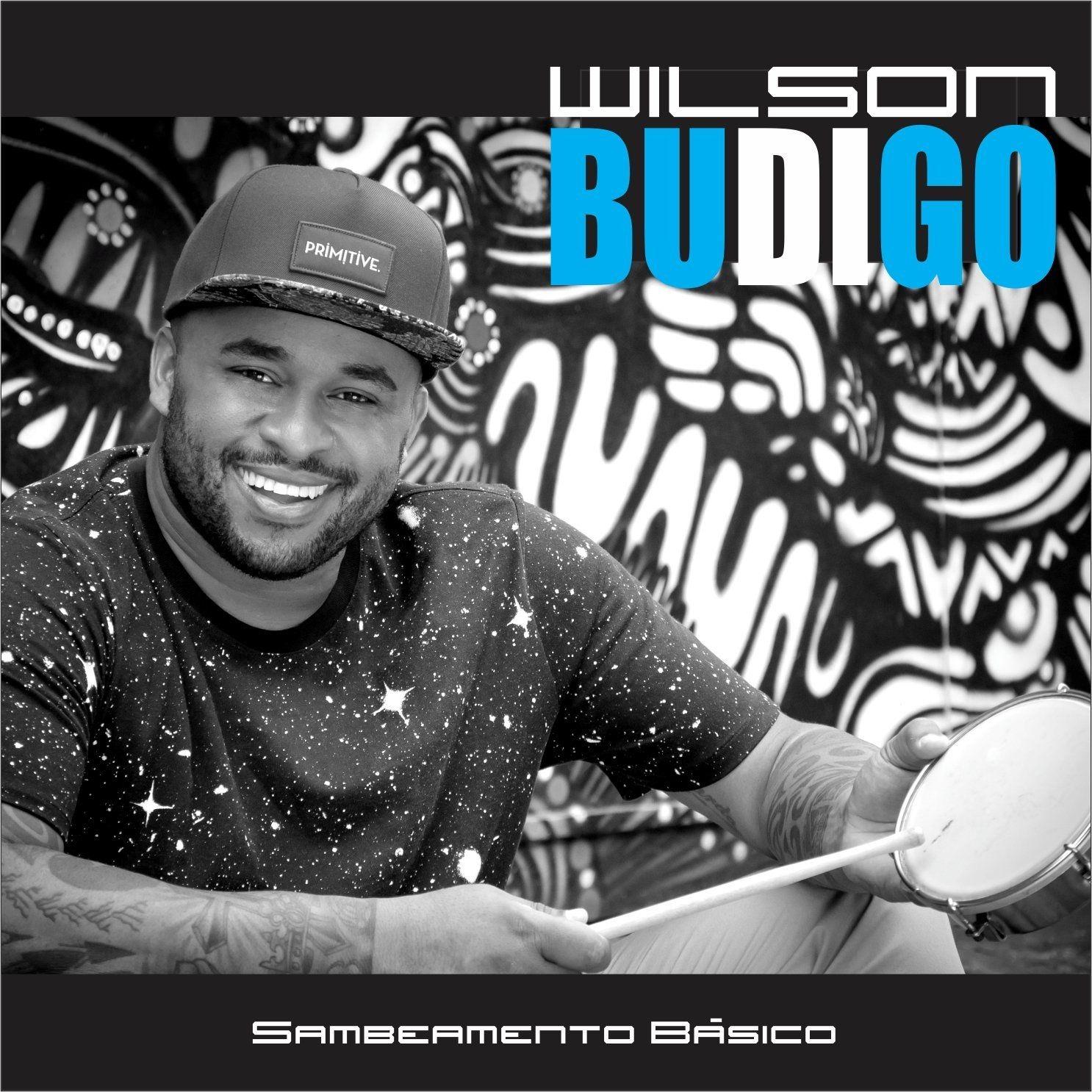 Portada de Álbum "Sambeamento Básico", de Wilson Budigo