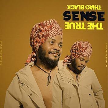 Capa do Álbum "The True Sense", de Thião Black