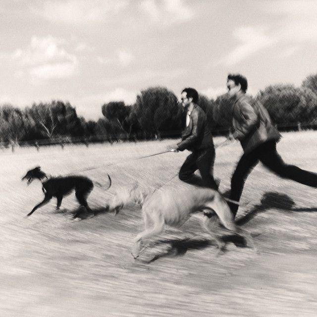 Capa do Álbum "El perro que fuma", de Taburete