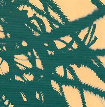 Portada de Álbum "Microscopic Movies", de Love of Lesbian