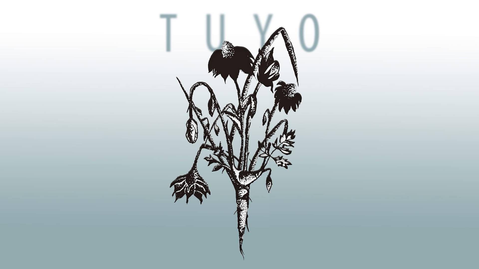Capa do Álbum "Tuyo", de TUYO