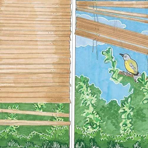 Portada de Sencillo/EP "Bird Sing", de Anna of the North