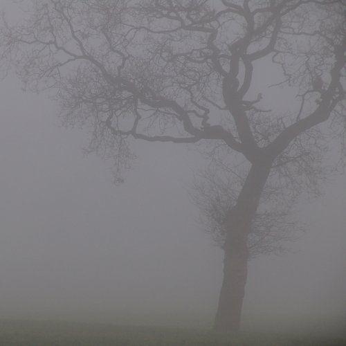 Capa do Álbum "Silver", de Jesu