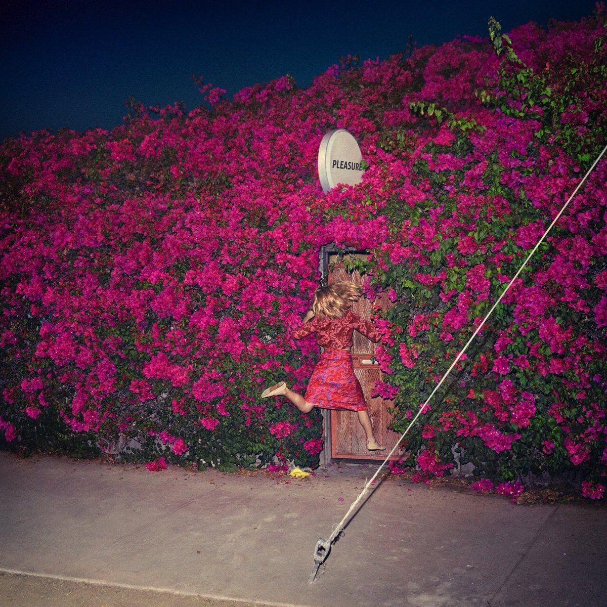 Album cover of "Pleasure" by Feist