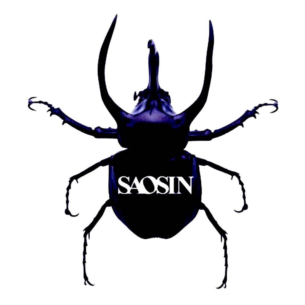 Capa do Álbum "Saosin", de Saosin