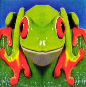 Portada de Álbum "Totem", de DumDum Boys