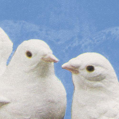 Portada de Álbum "Slow Down Babe", de Freak Slug